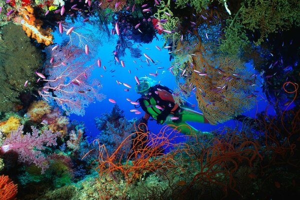 Plongeur dans une grotte de corail aux Fidji