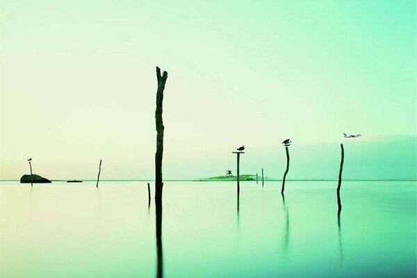 Acqua nel lago contro il cielo Verde