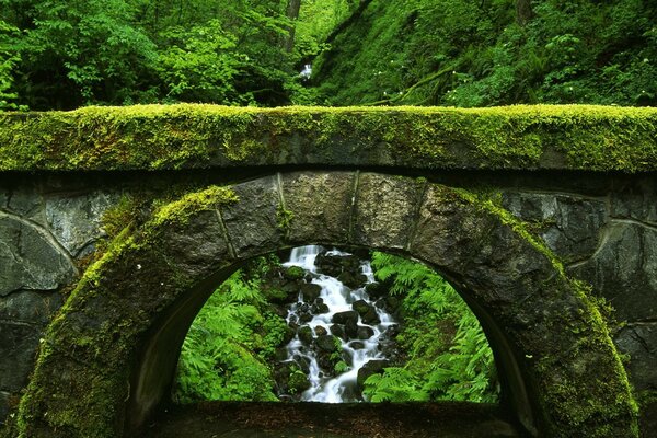 Le vert de la nature et toutes ses nuances