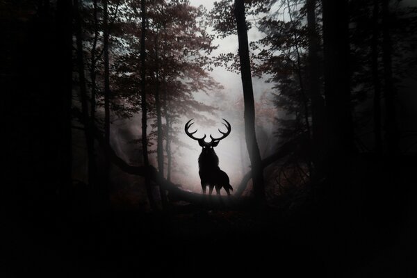 Gehörnter Hirsch im dunklen Wald