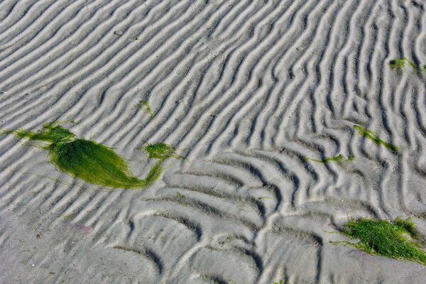 Sand in lines in algae