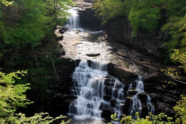 Wasserfall umgeben von Felsen und Wäldern