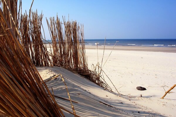 Weißer Sand am Strand am Meer