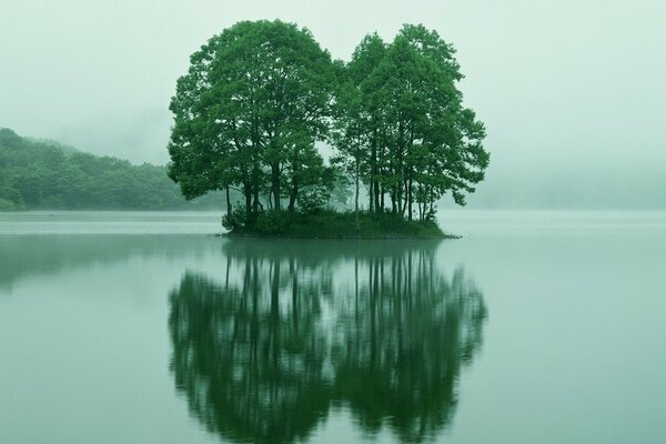 Spur island trees