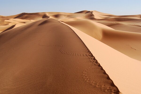 Sable lisse dans le désert