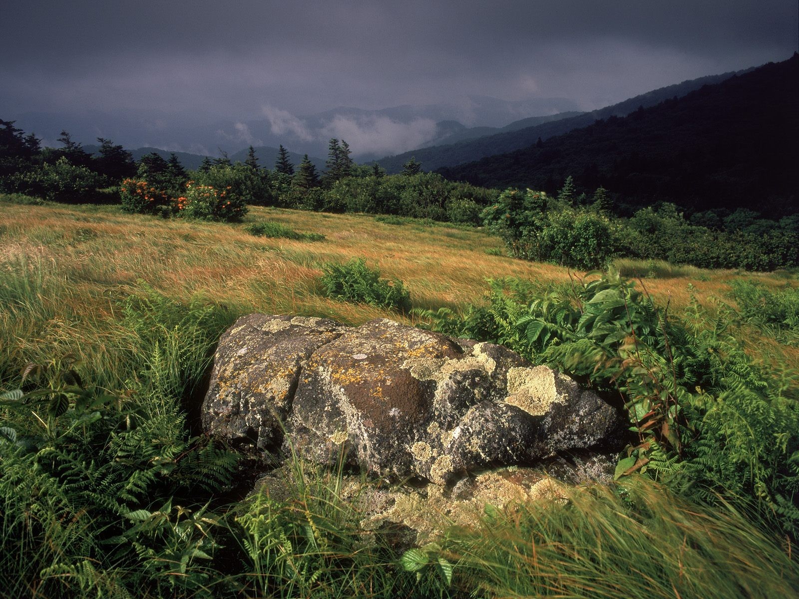 tone grass storm slope