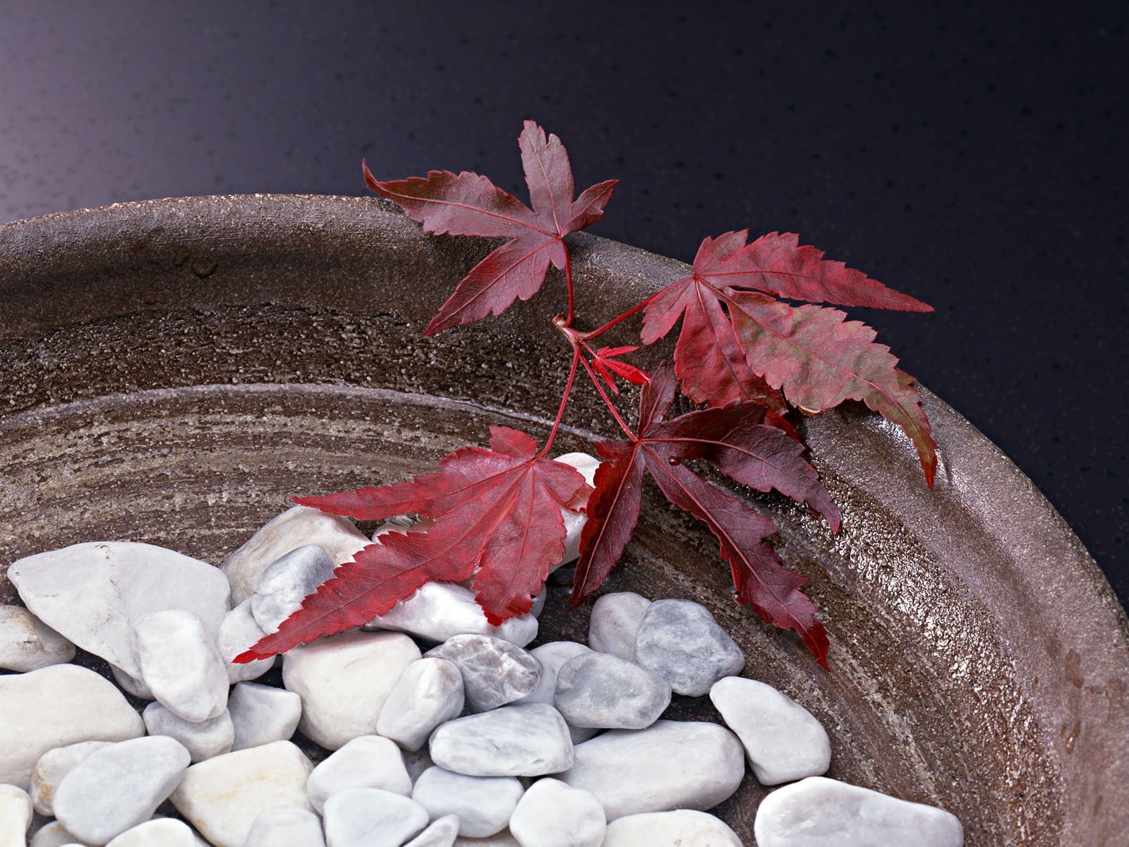 vase pierres feuilles