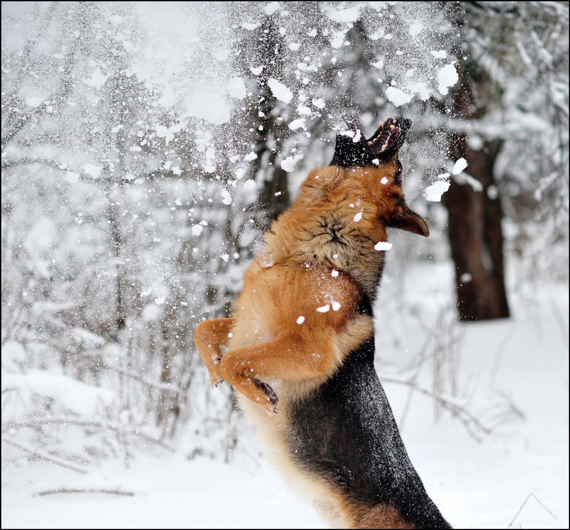 nieve salto invierno juego