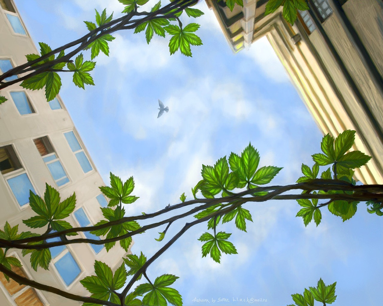 dessin printemps pigeon branche feuilles