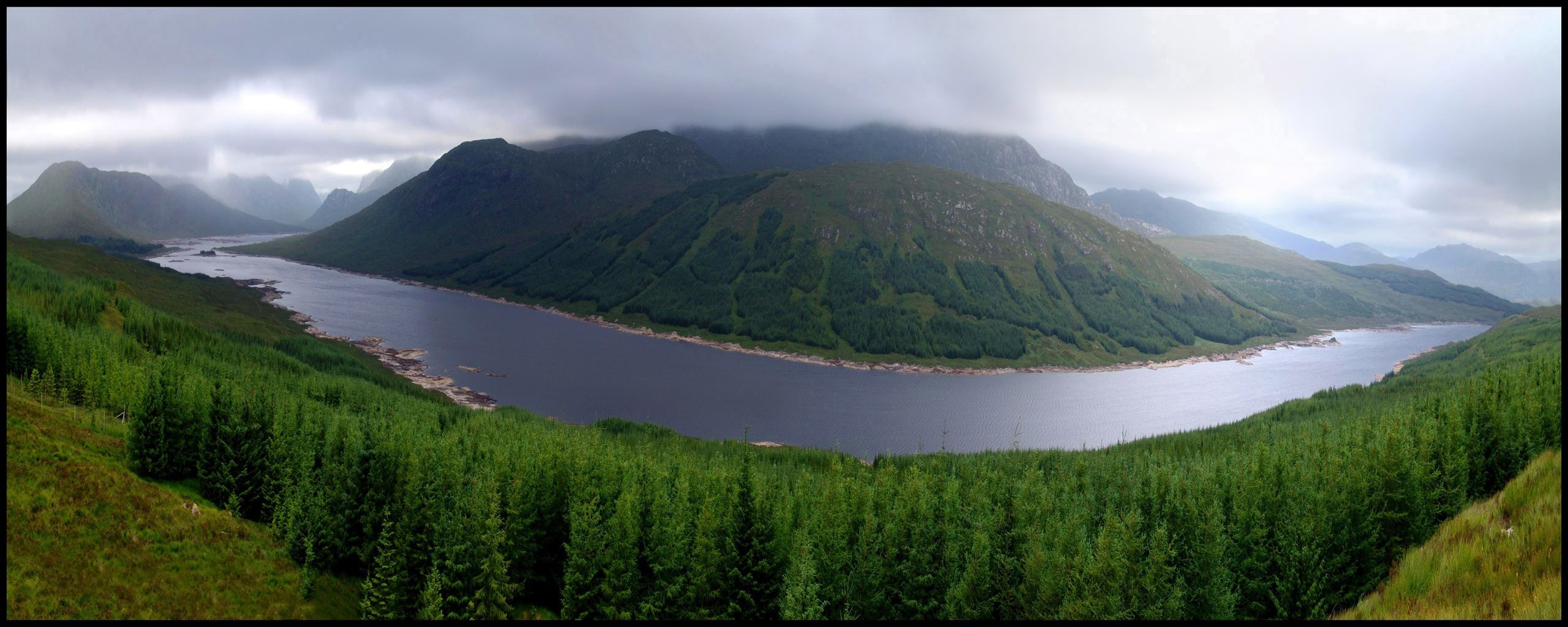 río montaña bosque