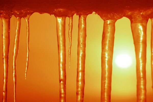 Eiszapfen in der gelben Sonne