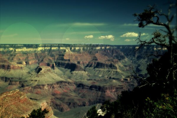 Canyon, pierres grises sur les rochers des arbres