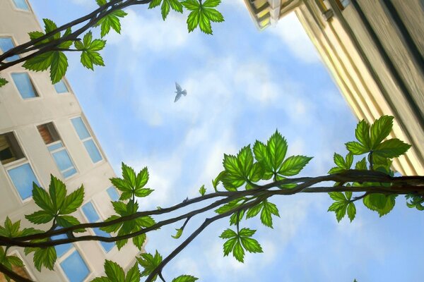 Un pájaro en lo alto del cielo gira sobre el patio