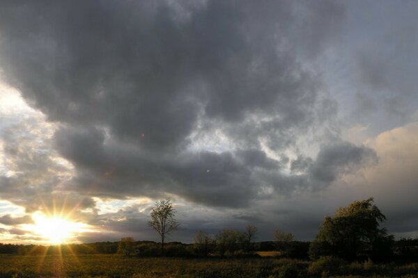 The setting sun in the steppe