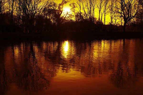 Reflection of the sun in calm water