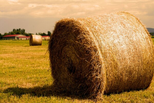 Pagliaio in un campo autunnale