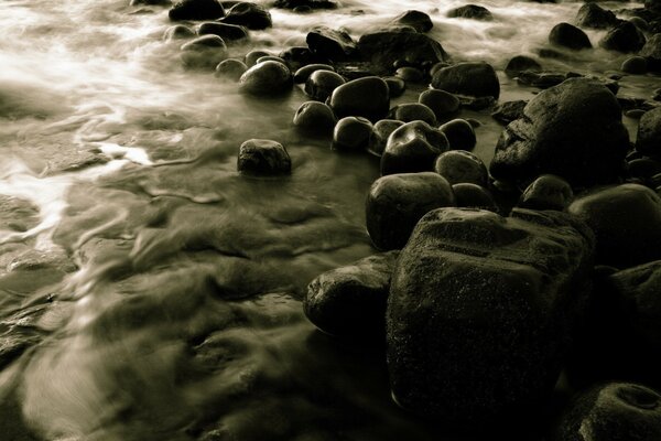 Foto en blanco y negro del río y las piedras