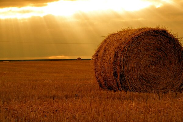 A haystack in a field in the sun