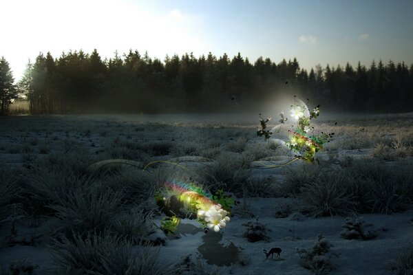 A small deer among the snow on the edge of the forest