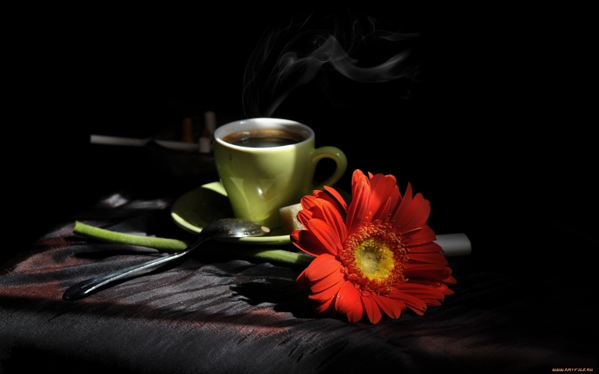 gerbera background flower beverages tea