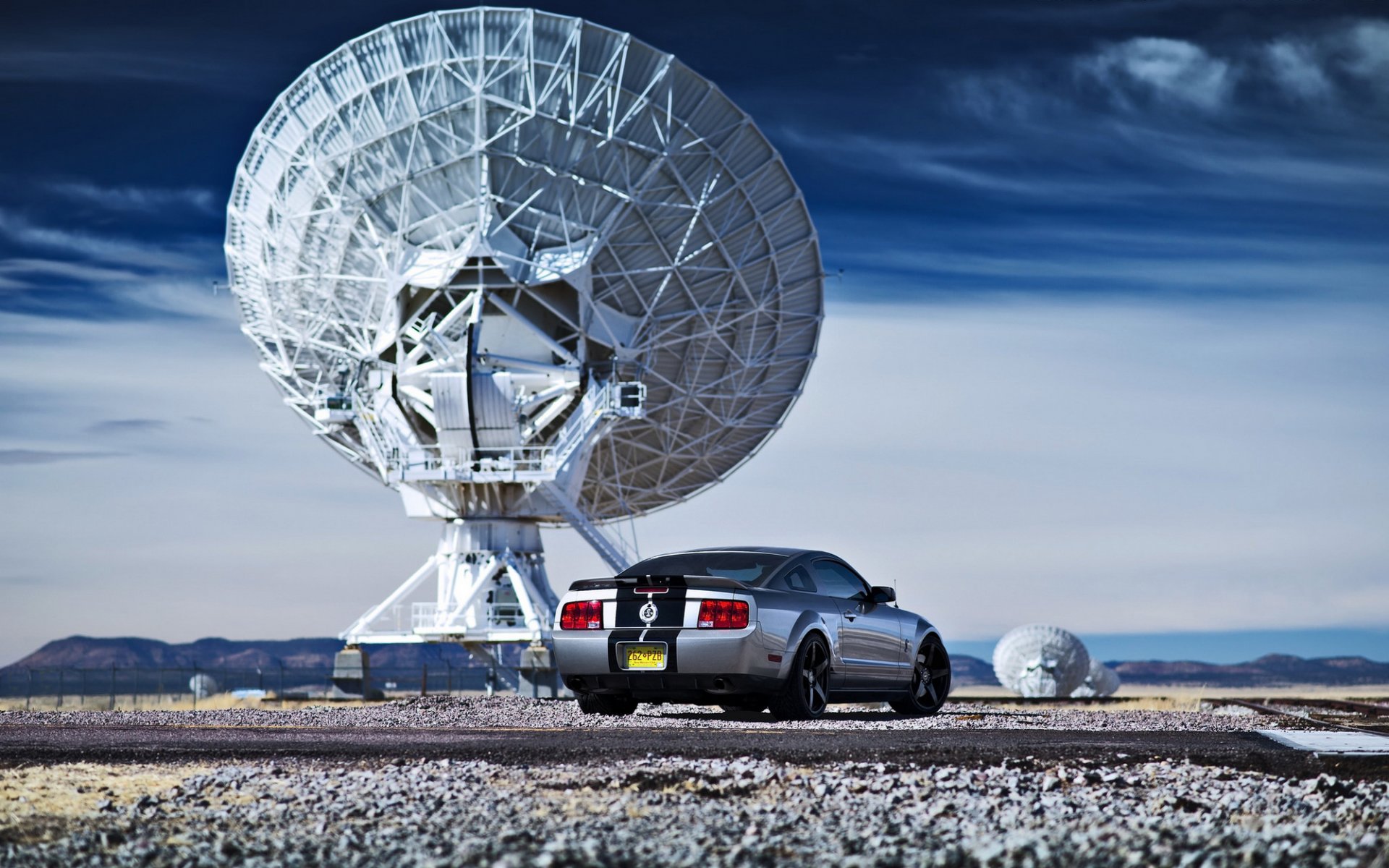 ford mustang ford auto antenna radar snack lavoro fotografico