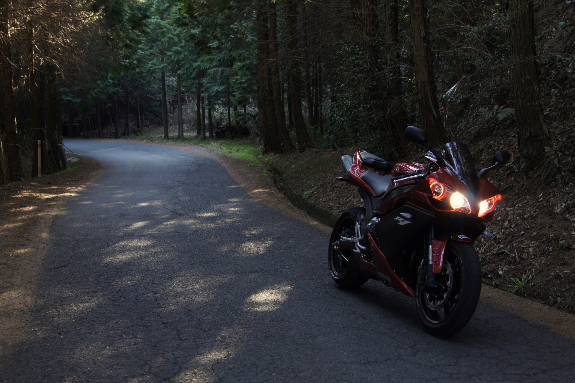 yamaha yzf-r1 rojo bicicleta yamaha motocicleta rojo carretera bosque