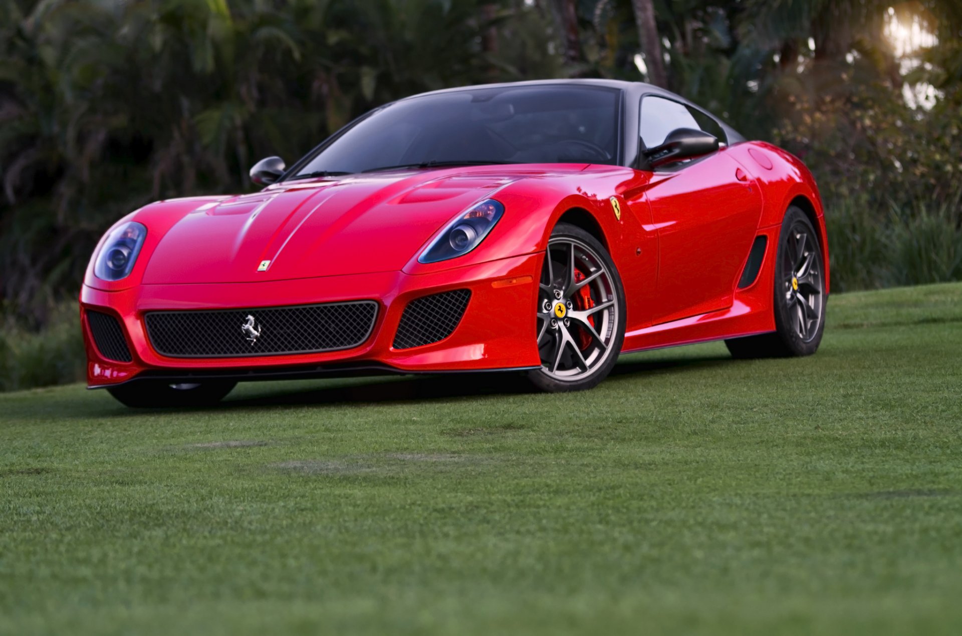 ferrari gto red front