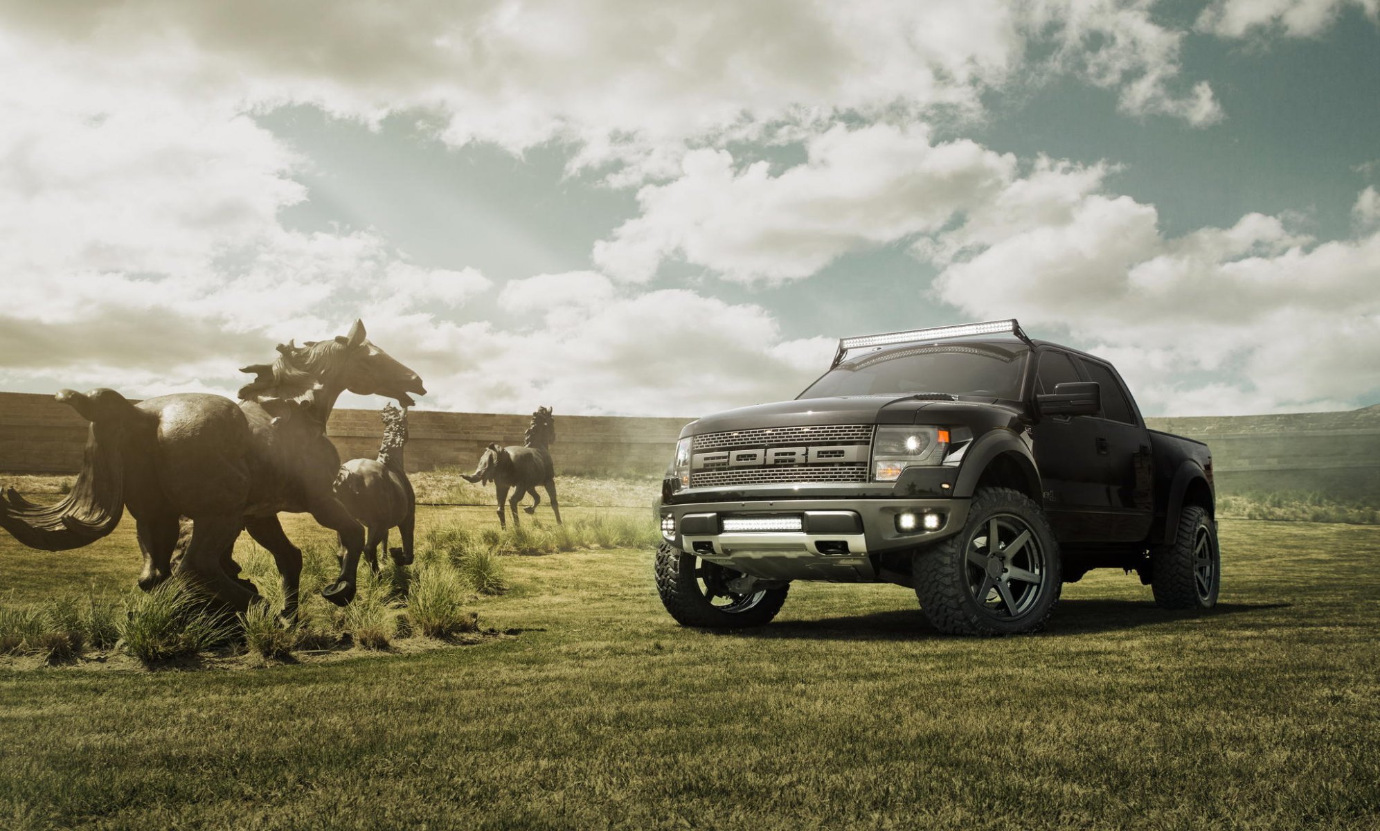 ford f-150 raptor noir raptor champ ciel chevaux