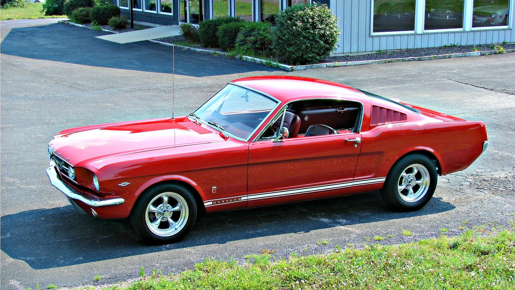 ford mustang ford mustang rojo mustang rojo 1966 1966 año coche de aceite coche del músculo americano coche americano los e. e. u. u. ford mustang