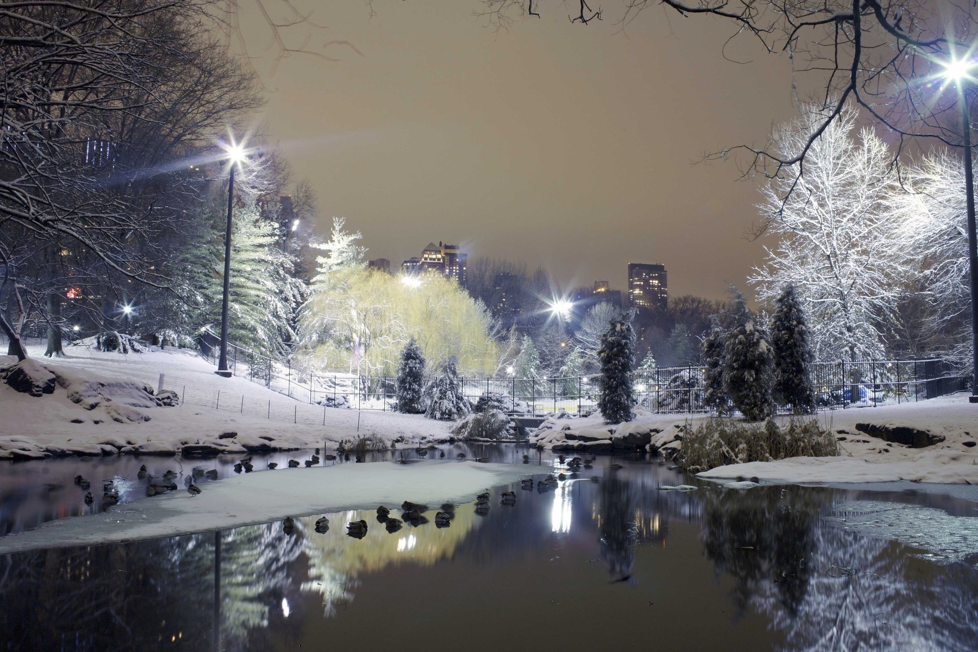 wetten stadt bäume park lichter winter schnee