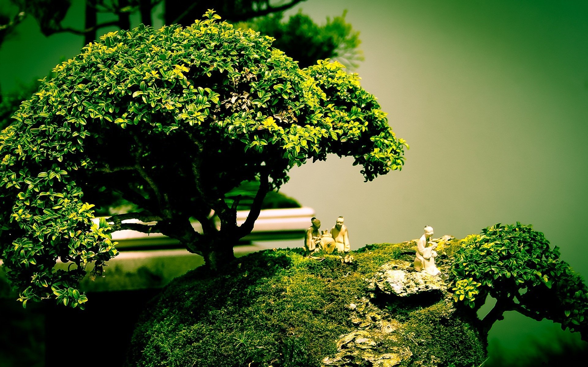 tree composition art bonsai figure