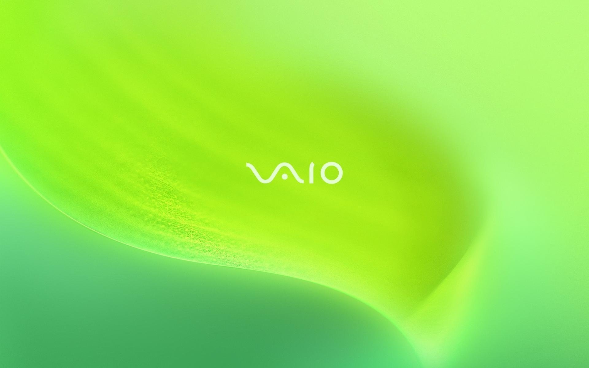 vaio sony foglia verde