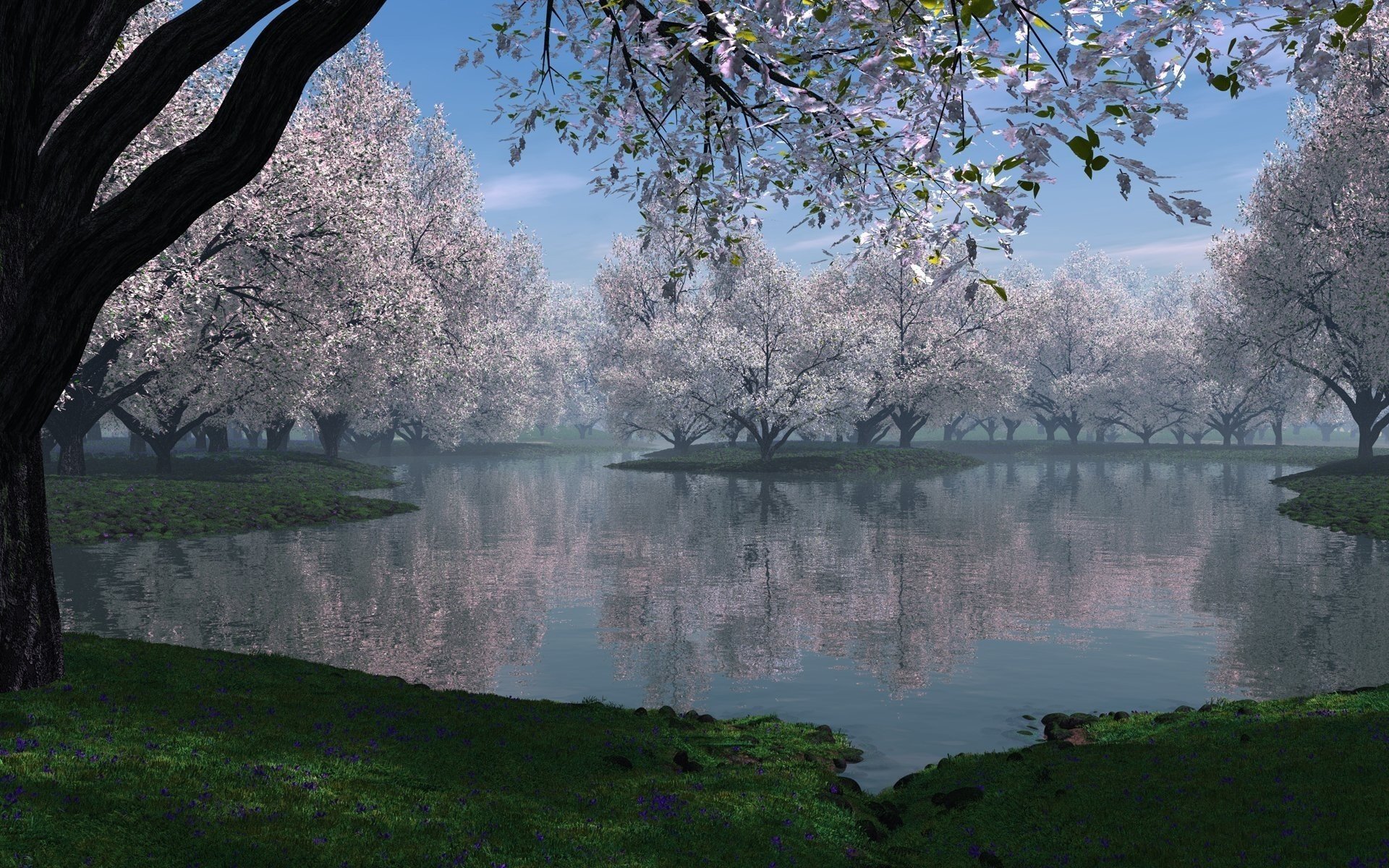 natura foschia primavera lago erba alberi fioritura