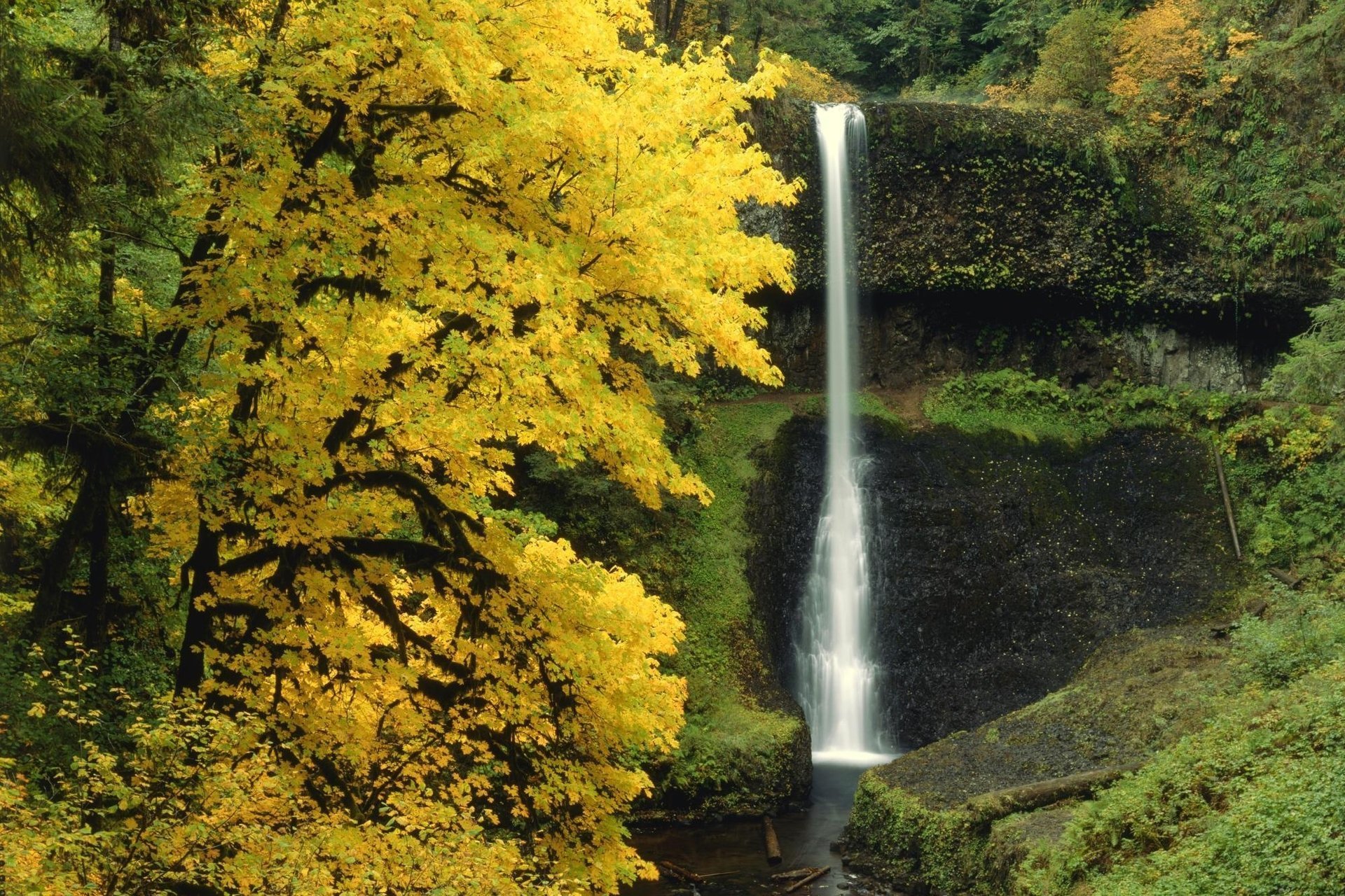 otoño cascada árboles bosque naturaleza