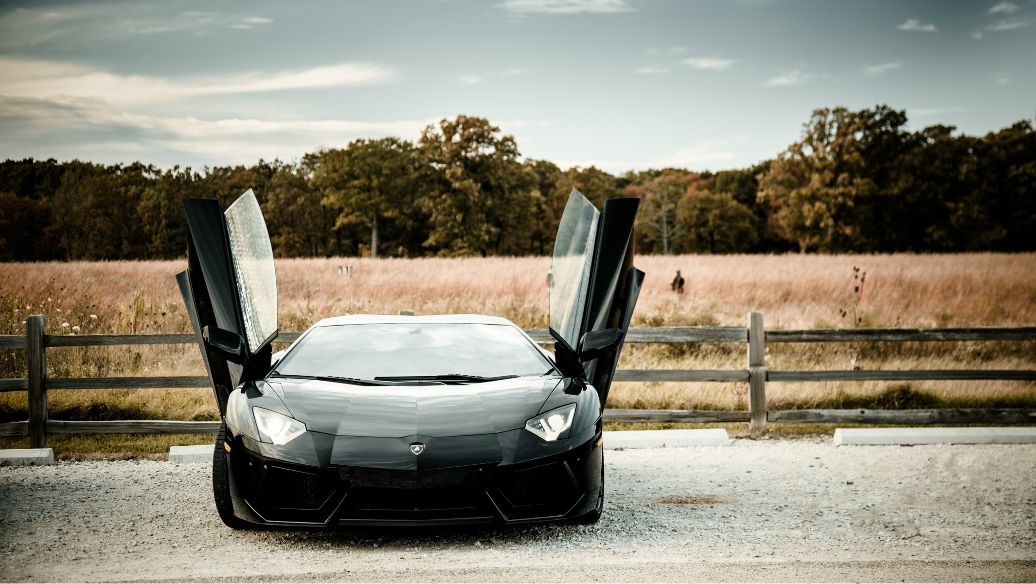 lamborghini aventador lp700-4 nero lamborghini aventador campo alberi cielo nuvole