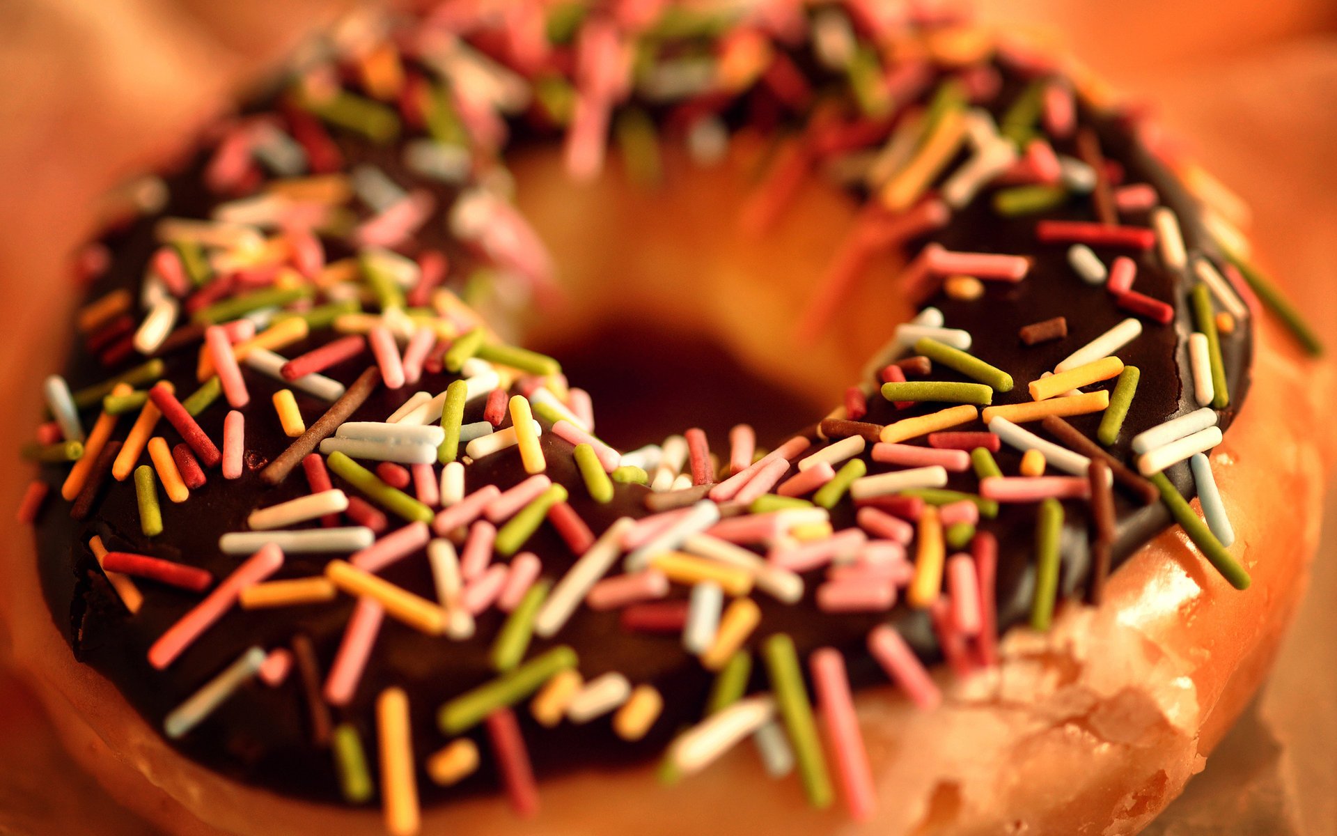 nourriture macro douceur macro miette beignet nourriture chocolat