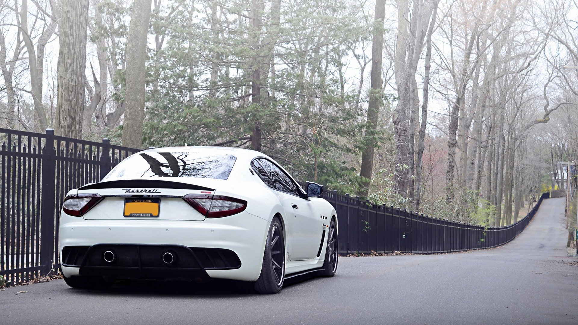 maserati italy fence fence white forest rear view tuning