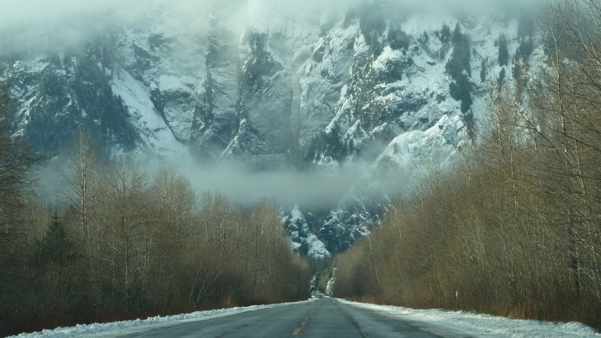 inverno foresta neve montagna foschia strada nebbia