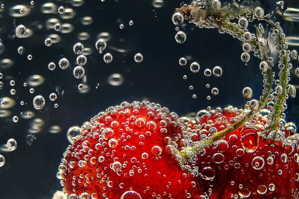 Cherry under water in bubbles