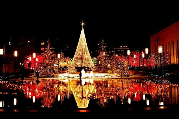 Christmas tree on the square