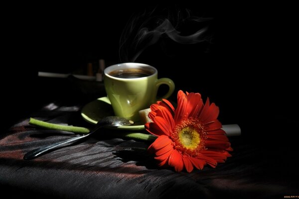 Tasse Tee und Gerbera auf schwarzem Hintergrund