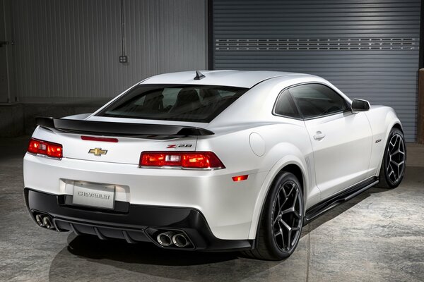 Photo of a Chevrolet Camaro car from behind