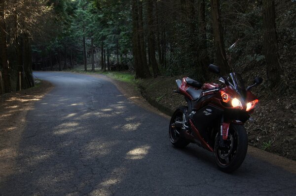 Yamaha motorcycle stands on the road against the background of trees