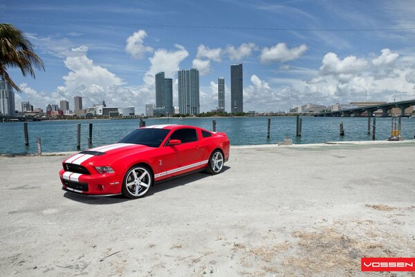 Rosso Ford Shelby gt500 in riva al mare