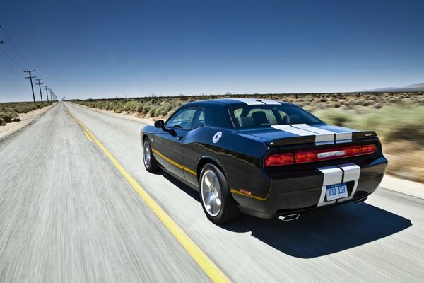 Dodge challenger sports car rushes down the road