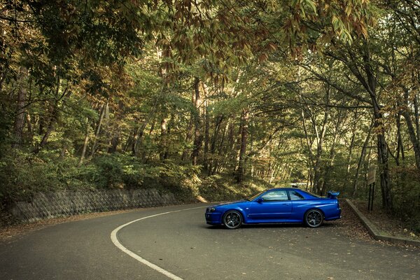 Voiture Nissan de couleur bleue sur fond de nature