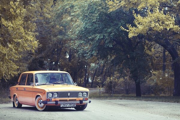 Klassische orangefarbene Liguli im Herbst