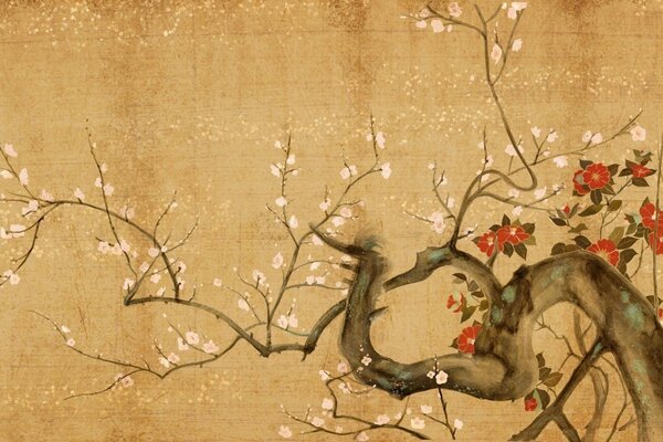 Motif de Sakura sur toile