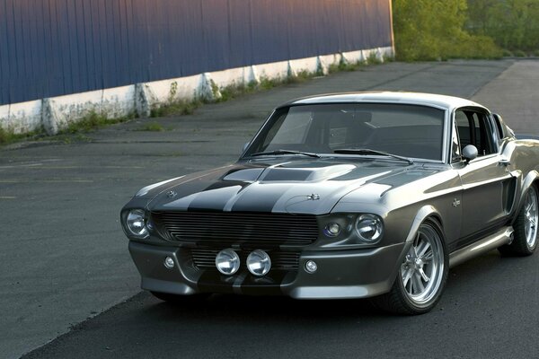 Ford Mustang gt500 bajo el sol de la tarde