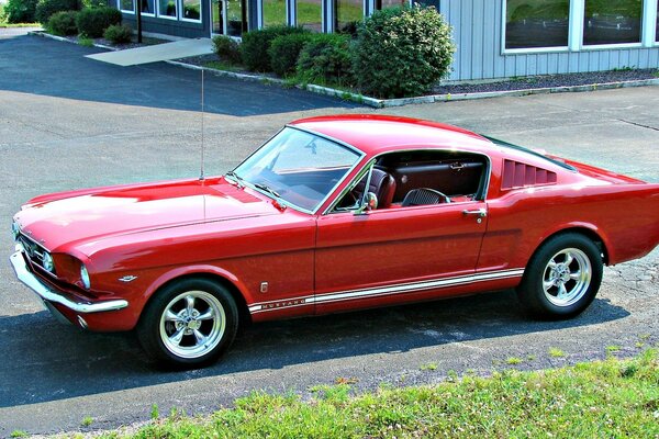 Roter Ford Mustang auf Asphalt am Haus